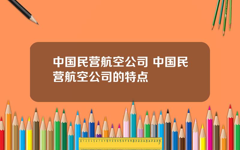 中国民营航空公司 中国民营航空公司的特点